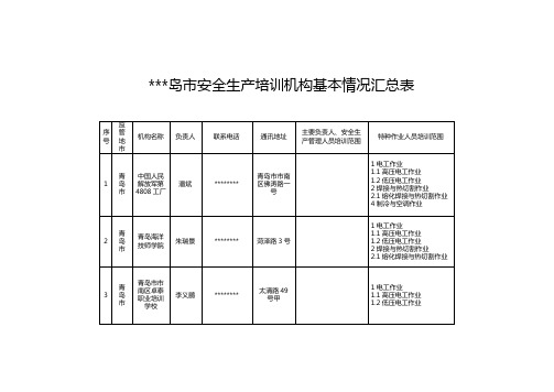 青岛市安全生产培训机构基本情况汇总表【模板】