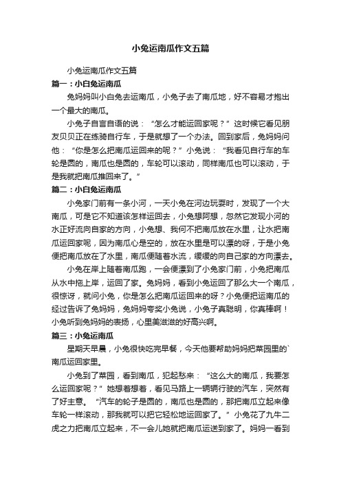 小兔运南瓜作文五篇