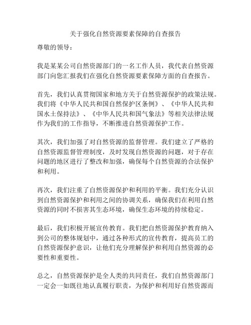 关于强化自然资源要素保障的自查报告