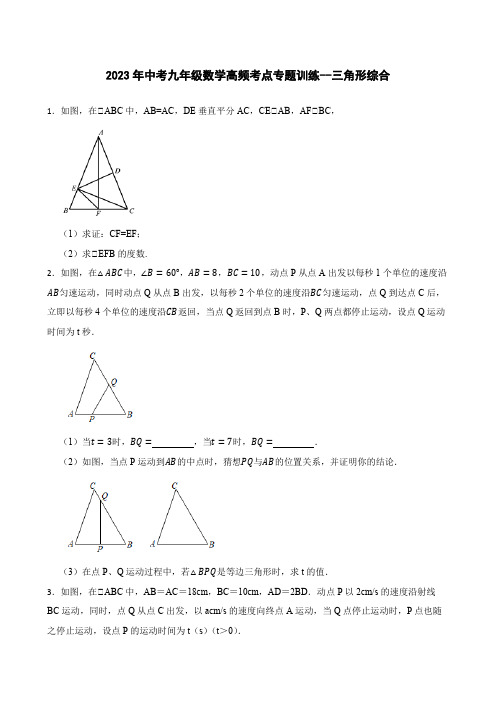 2023年中考九年级数学高频考点专题训练--三角形综合