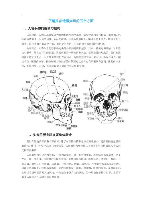 了解头部造型知识的五个方面