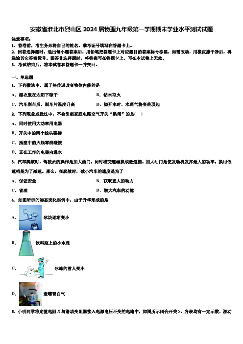 安徽省淮北市烈山区2024届物理九年级第一学期期末学业水平测试试题含解析