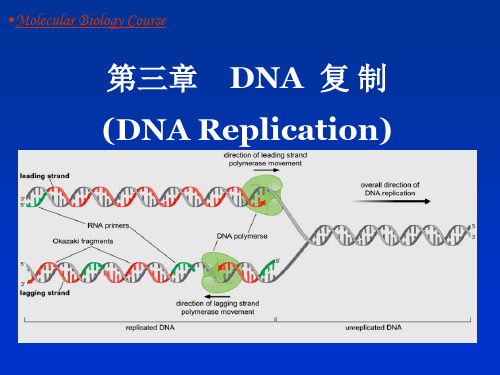 分子生物学   第3章 DNA复制