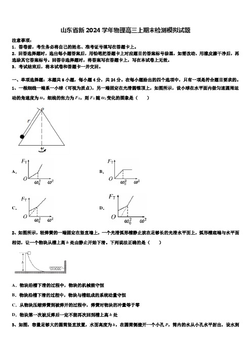 山东省新2024学年物理高三上期末检测模拟试题含解析