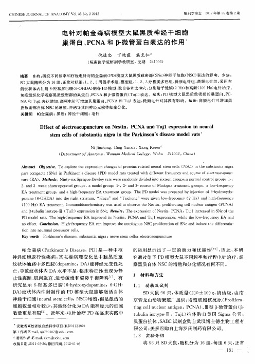 电针对帕金森病模型大鼠黑质神经干细胞巢蛋白、PCNA和β-微管蛋白表达的作用。