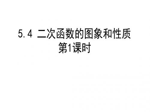 新青岛版九年级数学下册第五章《二次函数y=ax2的图象和性质》公开课课件