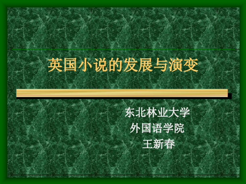 英国小说的发展与演变