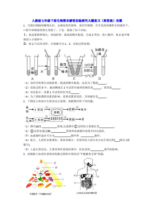 人教版七年级下册生物期末解答实验探究大题复习(附答案)完整