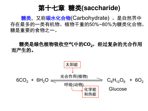 有机化学：第十七章  糖类(saccharide)