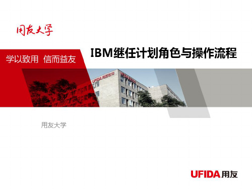 IBM继任计划角色与操作流程