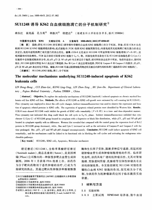 SU11248诱导K562白血病细胞凋亡的分子机制研究