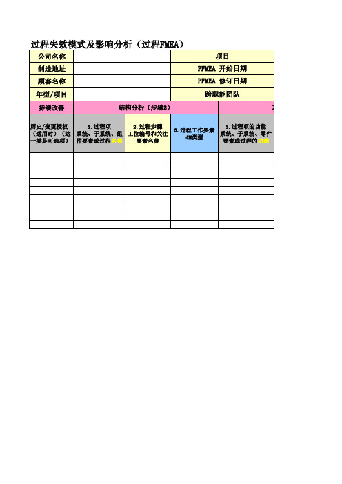 2019第五版AIAG VDA PFMEA (空表)