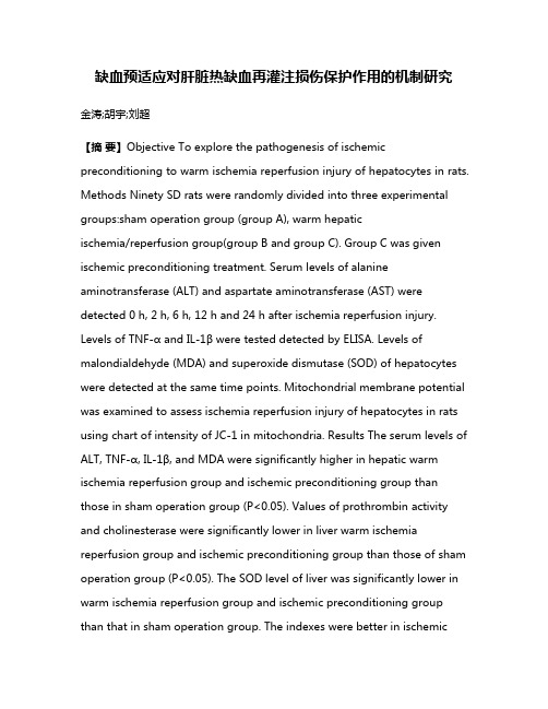 缺血预适应对肝脏热缺血再灌注损伤保护作用的机制研究