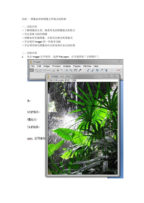 实验一 图像处理和图像文件格式的转换