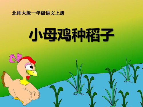 《小母鸡种稻子》-PPT标准课件