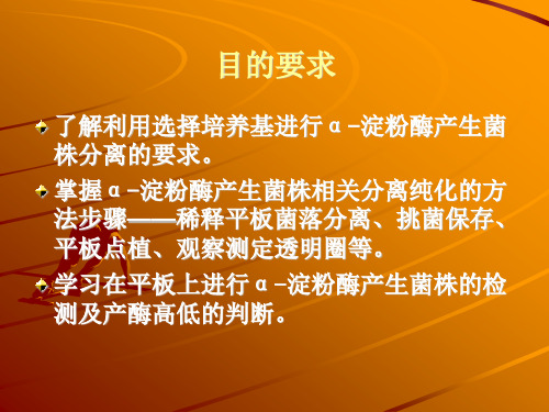 淀粉酶产生菌株细菌的分离纯化及检测