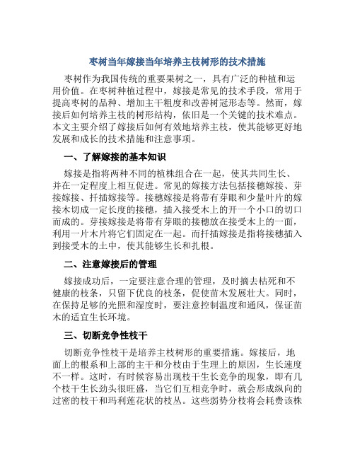 枣树当年嫁接当年培养主枝树形的技术措施