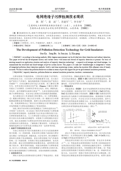 电网绝缘子污秽检测技术现状