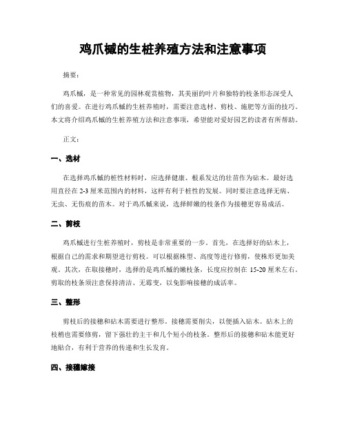 鸡爪槭的生桩养殖方法和注意事项