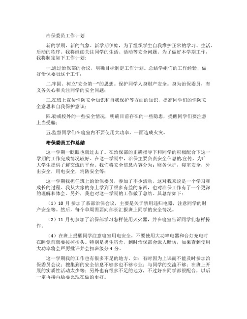 大学治保委员工作计划及总结