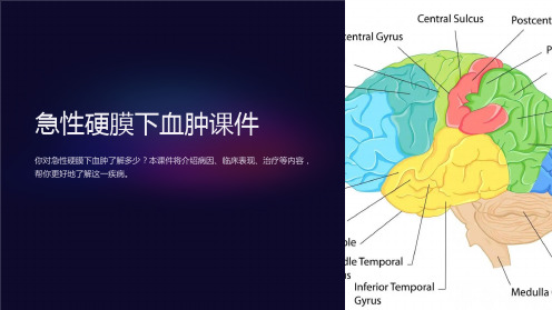 急性硬膜下血肿课件