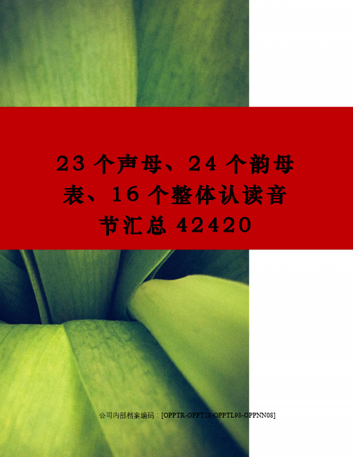 23个声母、24个韵母表、16个整体认读音节汇总42420(终审稿)