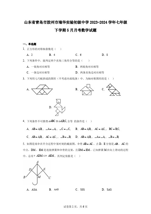 山东省青岛市胶州市瑞华实验初级中学2023-2024学年七年级下学期5月月考数学试题