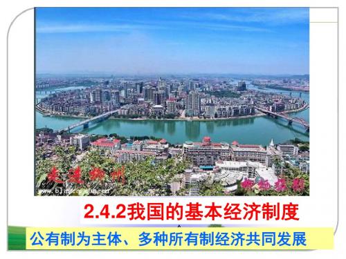2.4.2我国的基本经济制度