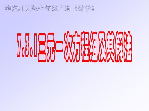 7.3.1三元一次方程组及其解法