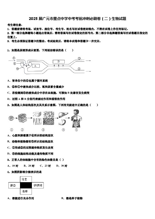 2025届广元市重点中学中考考前冲刺必刷卷(二)生物试题含解析