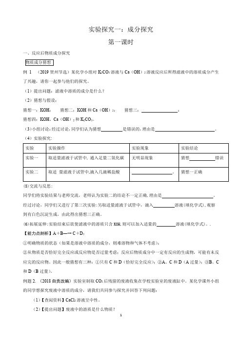 中考化学专题复习实验探究一：物质成分探究