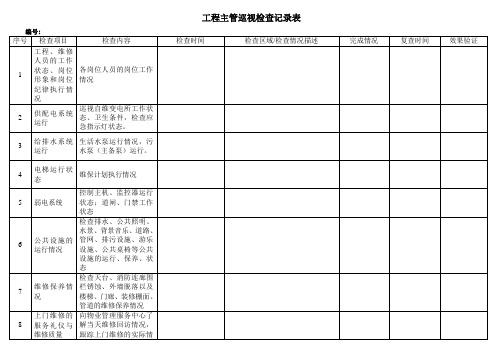 工程主管巡视检查记录表(完整版)