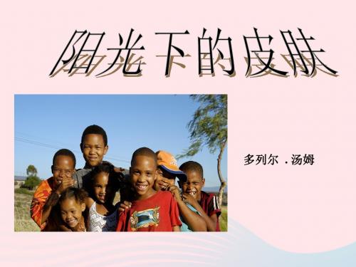 六年级语文上册第四单元19《阳光下的皮肤》名优课件冀教版