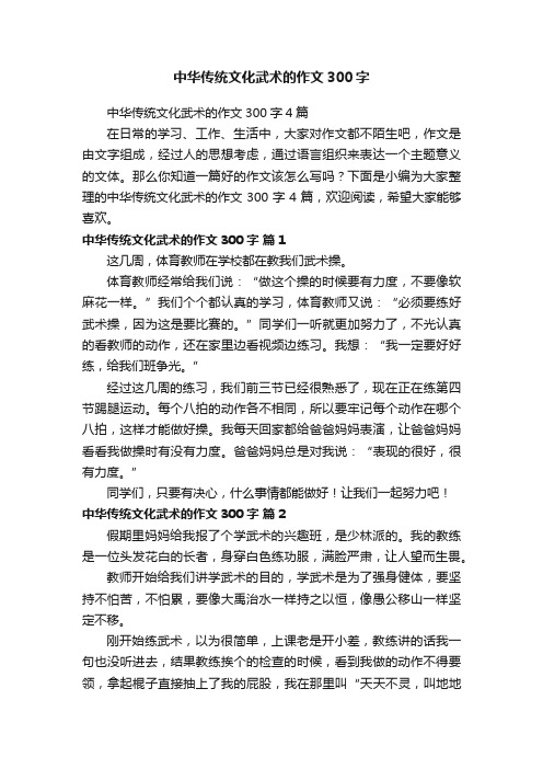 中华传统文化武术的作文300字4篇