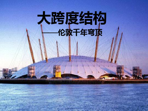 大跨度_千年穹顶