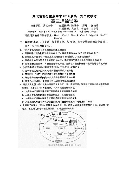 2019届湖北省部分重点中学高三上学期第二次联考试卷理科综合试卷(扫描版)