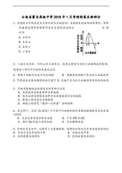 最新-云南省蒙自高级中学2018年1月考理综卷生物部分