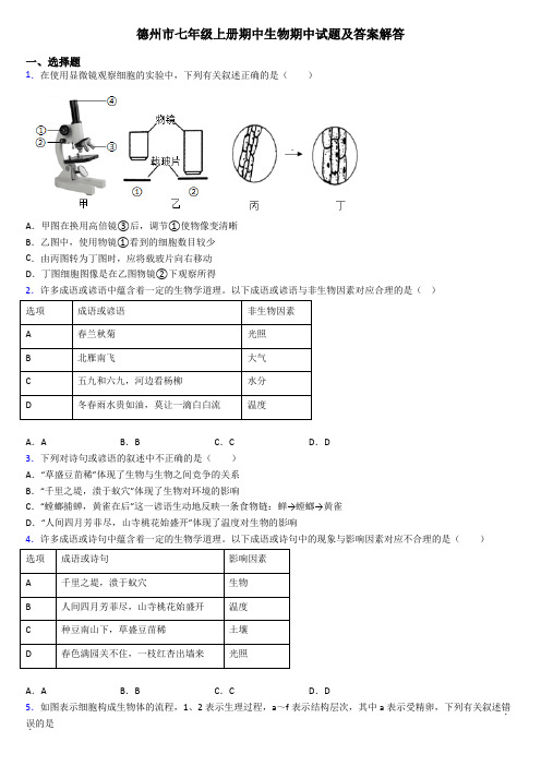 德州市七年级上册期中生物期中试题及答案解答