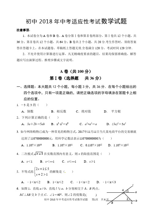 初中2018年中考适应性考试数学试题数学