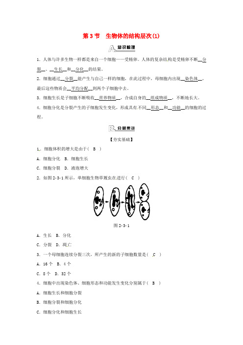 七年级科学上册第2章观察生物第3节生物体的结构层次1同步测试新版浙教版