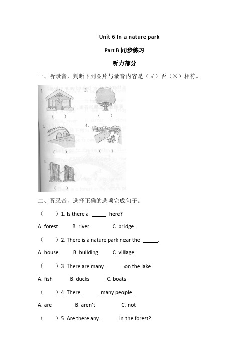 五年级上册英语试题-Unit 6Part B 同步练习 人教PEP(含答案及听力原文)