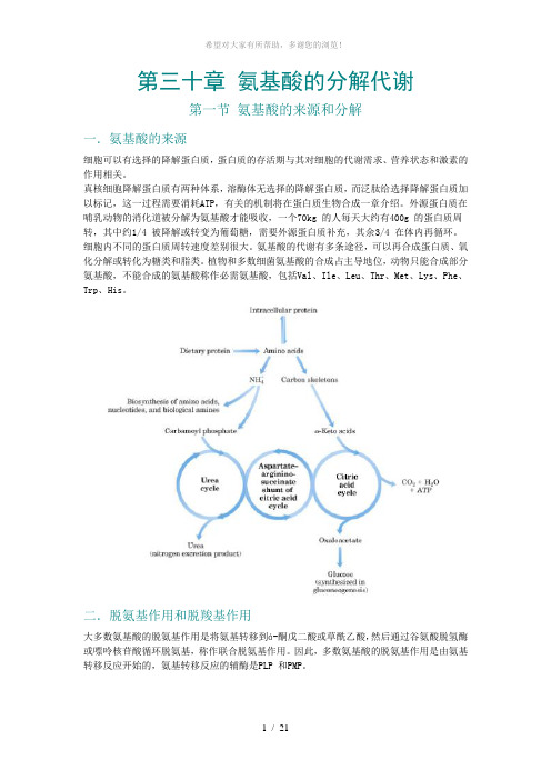 第30章-氨基酸的分解代谢