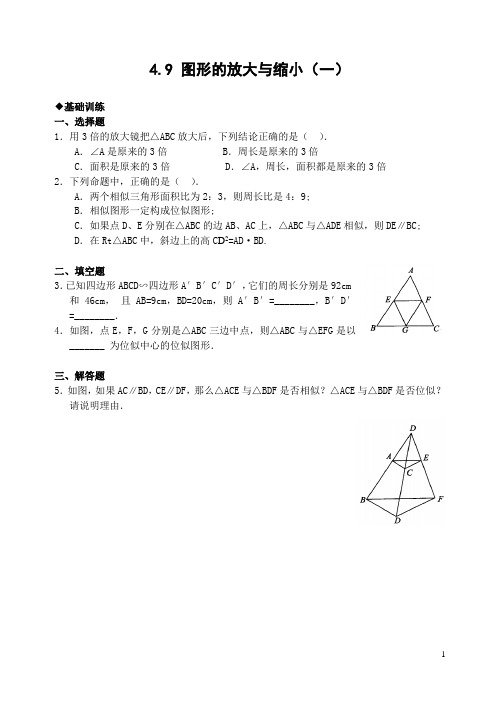 4.9 图形的放大与缩小(1)(含答案)-