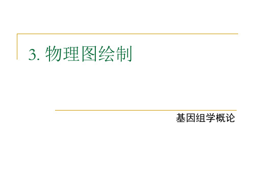 物理图绘制基因组学概论