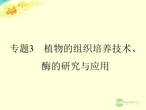 高考生物一轮复习 专题3 植物的组织培养技术、酶的研究与应用课件 新人教版选修1 