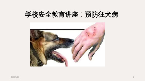 学校安全教育讲座：预防狂犬病(共19张ppt)