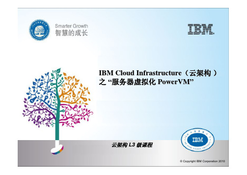 IBM服务器虚拟化PowerVM介绍