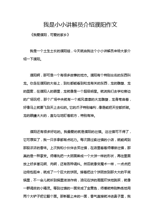 我是小小讲解员介绍濮阳作文