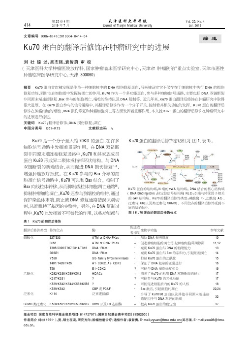 Ku70蛋白的翻译后修饰在肿瘤研究中的进展