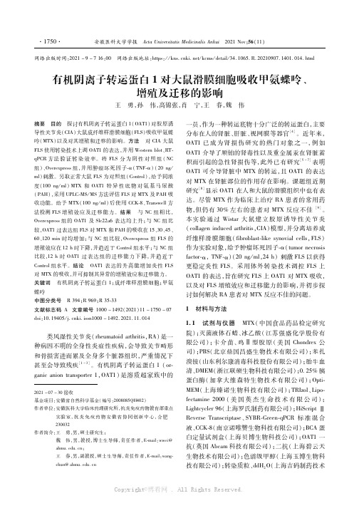 有机阴离子转运蛋白1对大鼠滑膜细胞吸收甲氨蝶呤、增殖及迁移的影响